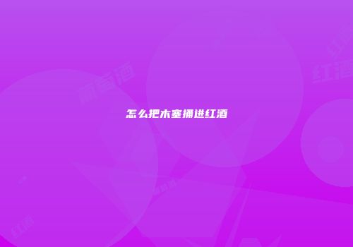 怎么把木塞捅进红酒