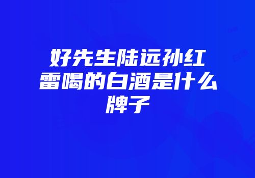 好先生陆远孙红雷喝的白酒是什么牌子