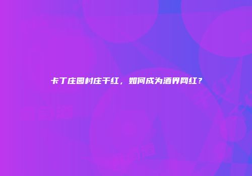 卡丁庄园村庄干红，如何成为酒界网红？