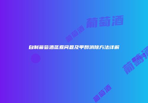 自制葡萄酒蒸煮问题及甲醇消除方法详解