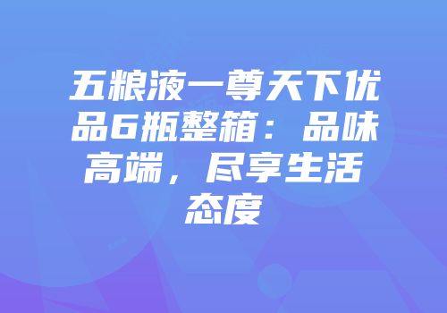 五粮液一尊天下优品6瓶整箱：品味高端，尽享生活态度