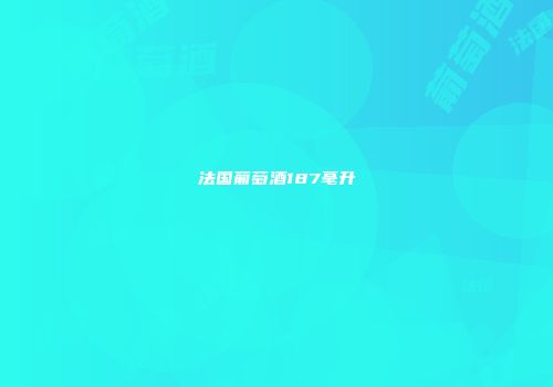 法国葡萄酒187毫升