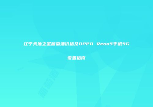 辽宁天池之星葡萄酒价格及OPPO Reno5手机5G设置指南