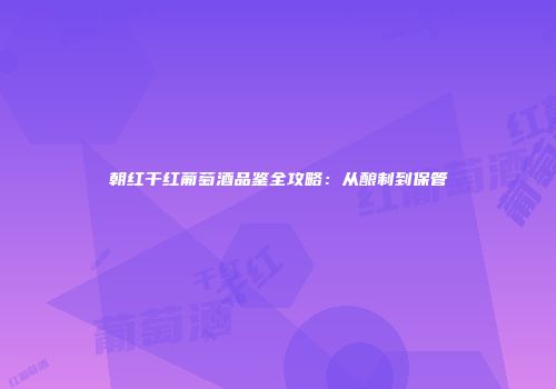 朝红干红葡萄酒品鉴全攻略：从酿制到保管