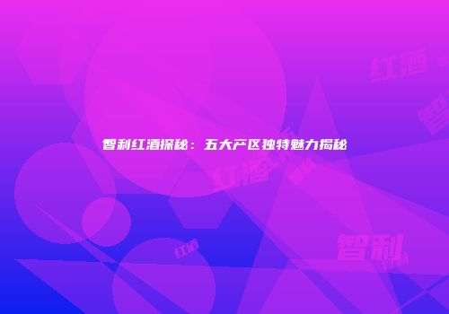 智利红酒探秘：五大产区独特魅力揭秘