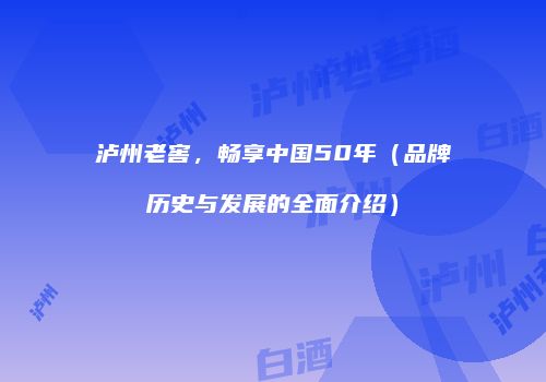 泸州老窖，畅享中国50年（品牌历史与发展的全面介绍）
