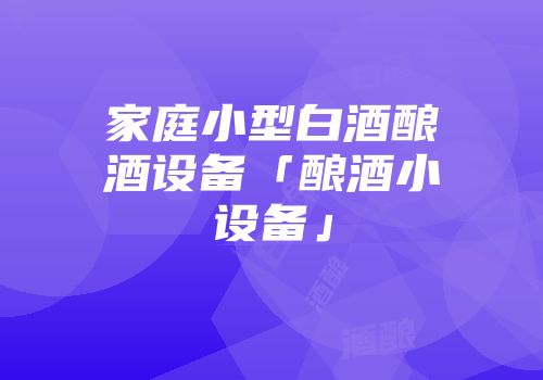 家庭小型白酒酿酒设备「酿酒小设备」