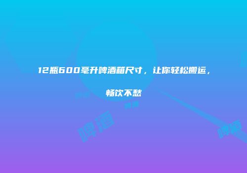 12瓶600毫升啤酒箱尺寸，让你轻松搬运，畅饮不愁