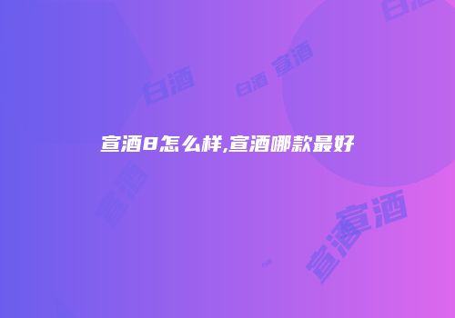 宣酒8怎么样,宣酒哪款最好