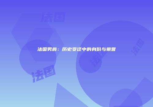 法国男爵：历史变迁中的身份与荣誉