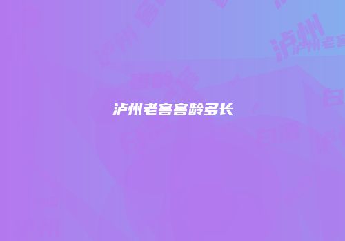 泸州老窖窖龄多长