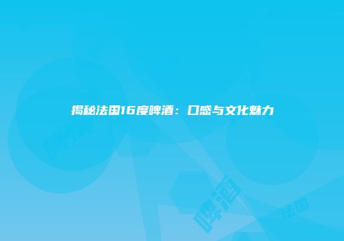 揭秘法国16度啤酒：口感与文化魅力