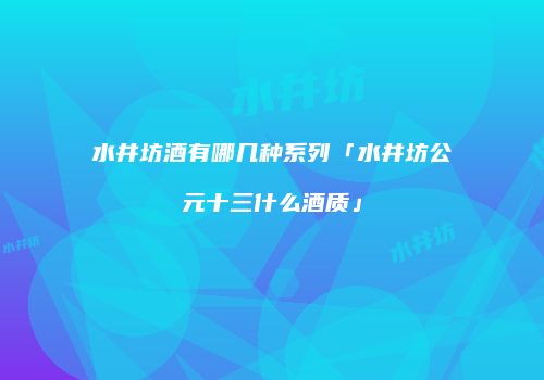 水井坊酒有哪几种系列「水井坊公元十三什么酒质」