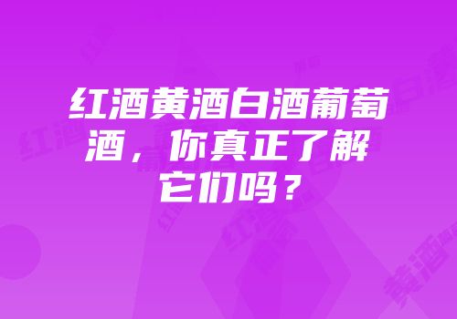 红酒黄酒白酒葡萄酒，你真正了解它们吗？