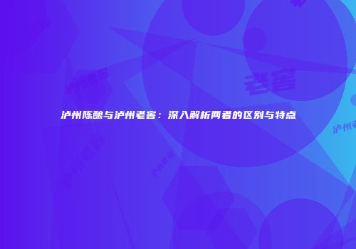 泸州陈酿与泸州老窖：深入解析两者的区别与特点
