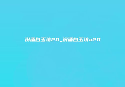 汾酒白玉坊20_汾酒白玉坊a20