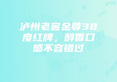 泸州老窖金尊38度红牌，醇香口感不容错过