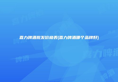 喜力啤酒批发价格表(喜力啤酒哪个品牌好)