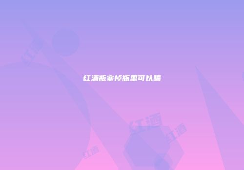 红酒瓶塞掉瓶里可以喝