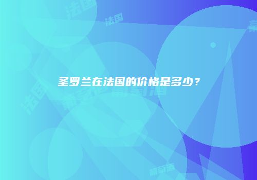圣罗兰在法国的价格是多少？