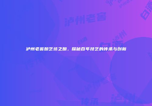 泸州老窖酿艺坊之酿，探秘百年技艺的传承与创新