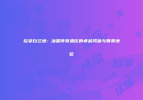 拉菲白兰地：法国传奇酒庄的卓越风味与尊贵地位