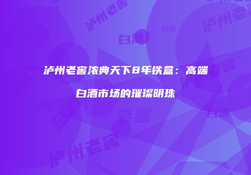 泸州老窖浓典天下8年铁盒：高端白酒市场的璀璨明珠