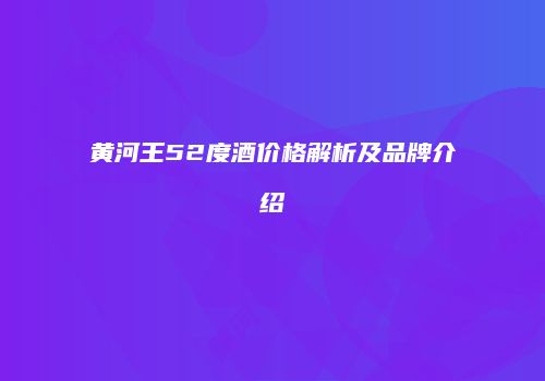 黄河王52度酒价格解析及品牌介绍
