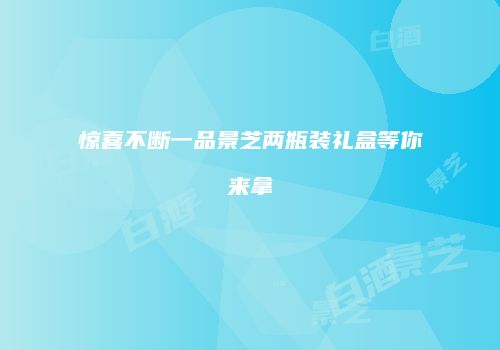 惊喜不断一品景芝两瓶装礼盒等你来拿