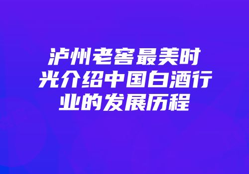 泸州老窖最美时光介绍中国白酒行业的发展历程