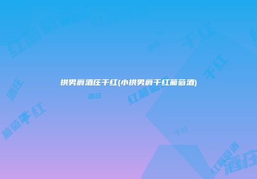 拱男爵酒庄干红(小拱男爵干红葡萄酒)