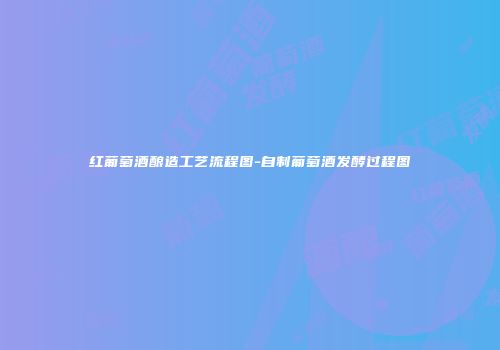 红葡萄酒酿造工艺流程图-自制葡萄酒发酵过程图