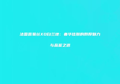 法国露易丝XO白兰地：奢华佳酿的醇厚魅力与品鉴之道