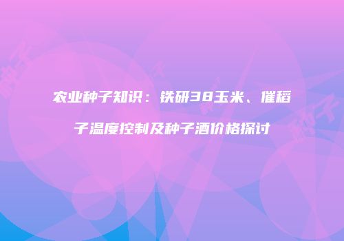 农业种子知识：铁研38玉米、催稻子温度控制及种子酒价格探讨