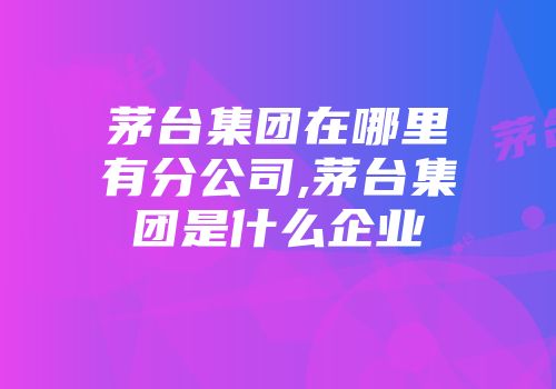 茅台集团在哪里有分公司,茅台集团是什么企业