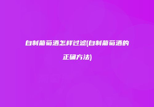 自制葡萄酒怎样过滤(自制葡萄酒的正确方法)