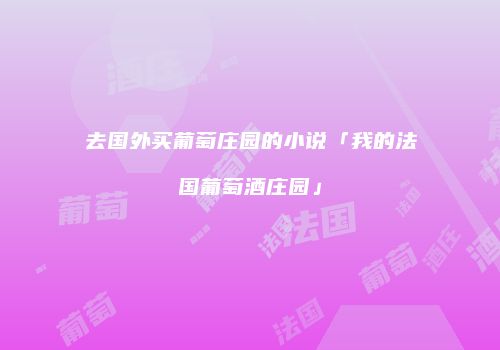 去国外买葡萄庄园的小说「我的法国葡萄酒庄园」