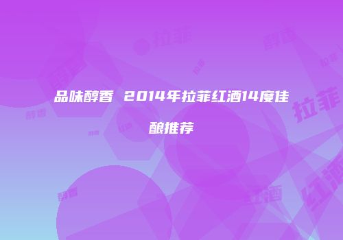 品味醇香 2014年拉菲红酒14度佳酿推荐