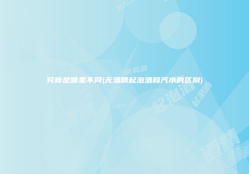 究竟是哪里不同(无酒精起泡酒和汽水的区别)