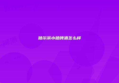 哈尔滨小哈啤酒怎么样