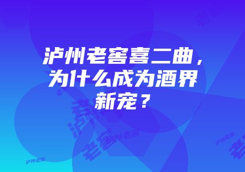 泸州老窖喜二曲，为什么成为酒界新宠？