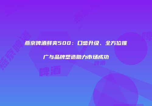 燕京啤酒鲜爽500：口感升级、全方位推广与品牌塑造助力市场成功