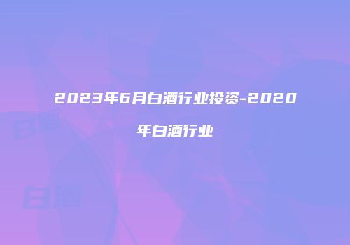 2023年6月白酒行业投资-2020年白酒行业