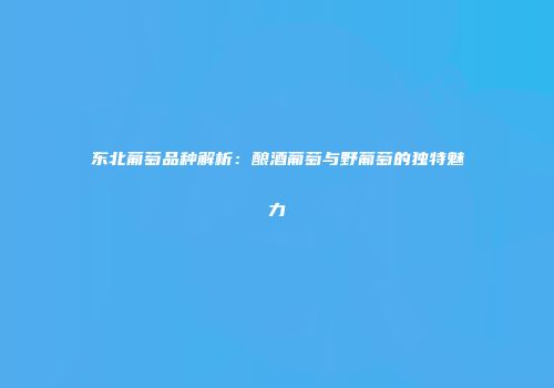 东北葡萄品种解析：酿酒葡萄与野葡萄的独特魅力