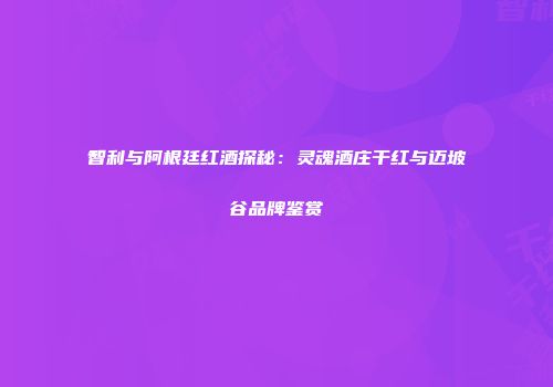 智利与阿根廷红酒探秘：灵魂酒庄干红与迈坡谷品牌鉴赏