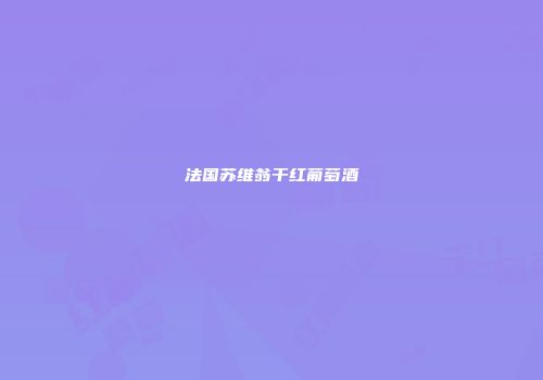 法国苏维翁干红葡萄酒