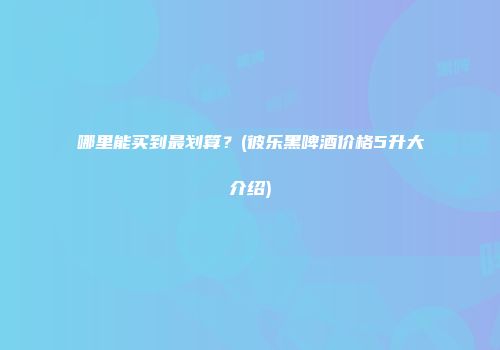 哪里能买到最划算？(彼乐黑啤酒价格5升大介绍)