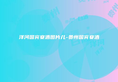 洋河国宾宴酒图片儿-贵州国宾宴酒