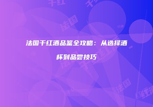法国干红酒品鉴全攻略：从选择酒杯到品尝技巧