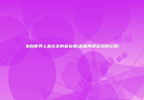 来自世界上最古老的葡萄园(品鉴两把击剑的红酒)
